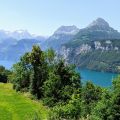 Schnste_Aussicht_auf_den_Vierwaldstttersee