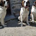 IMG-20220619-WA0002