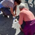 Pilgerband_im_Einsatz