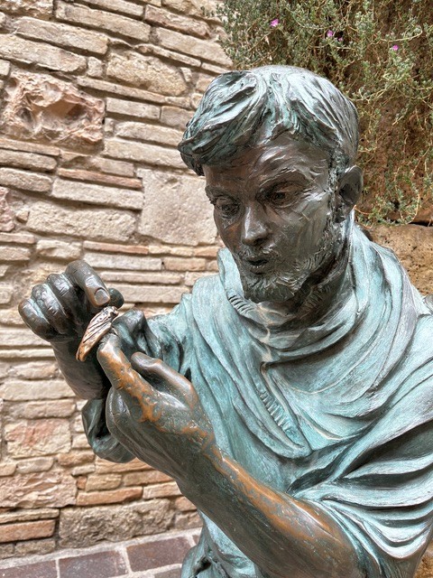 Assisi CAB I