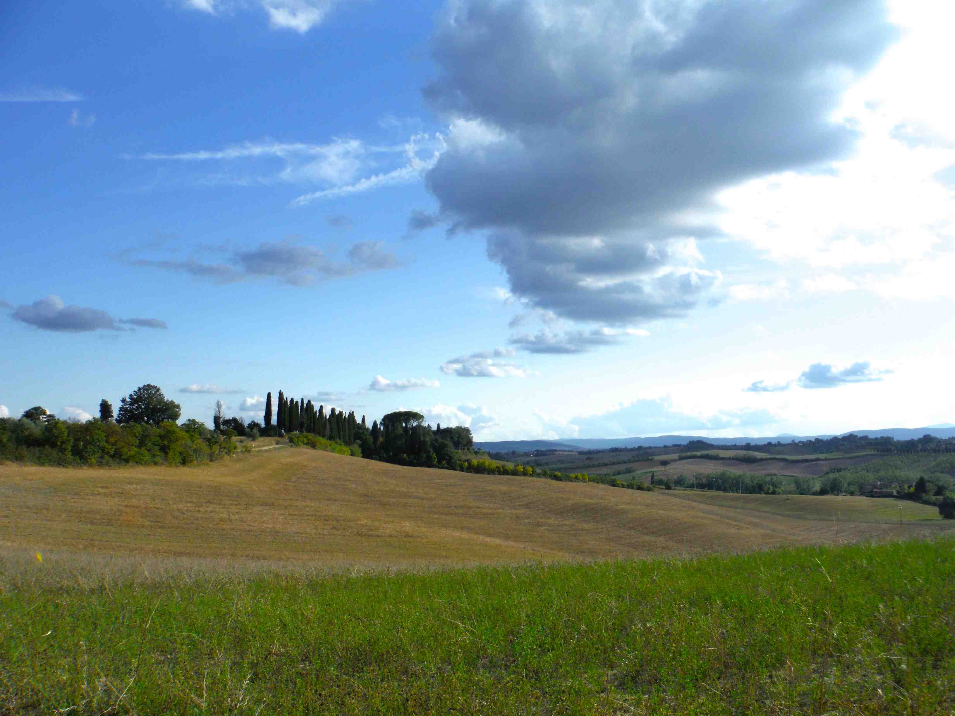 Siena Crete3