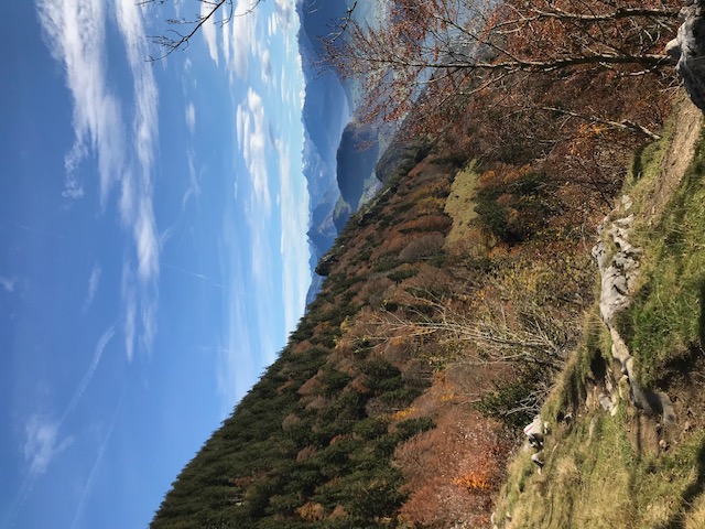 IMG 0030