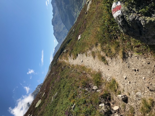IMG 0561
