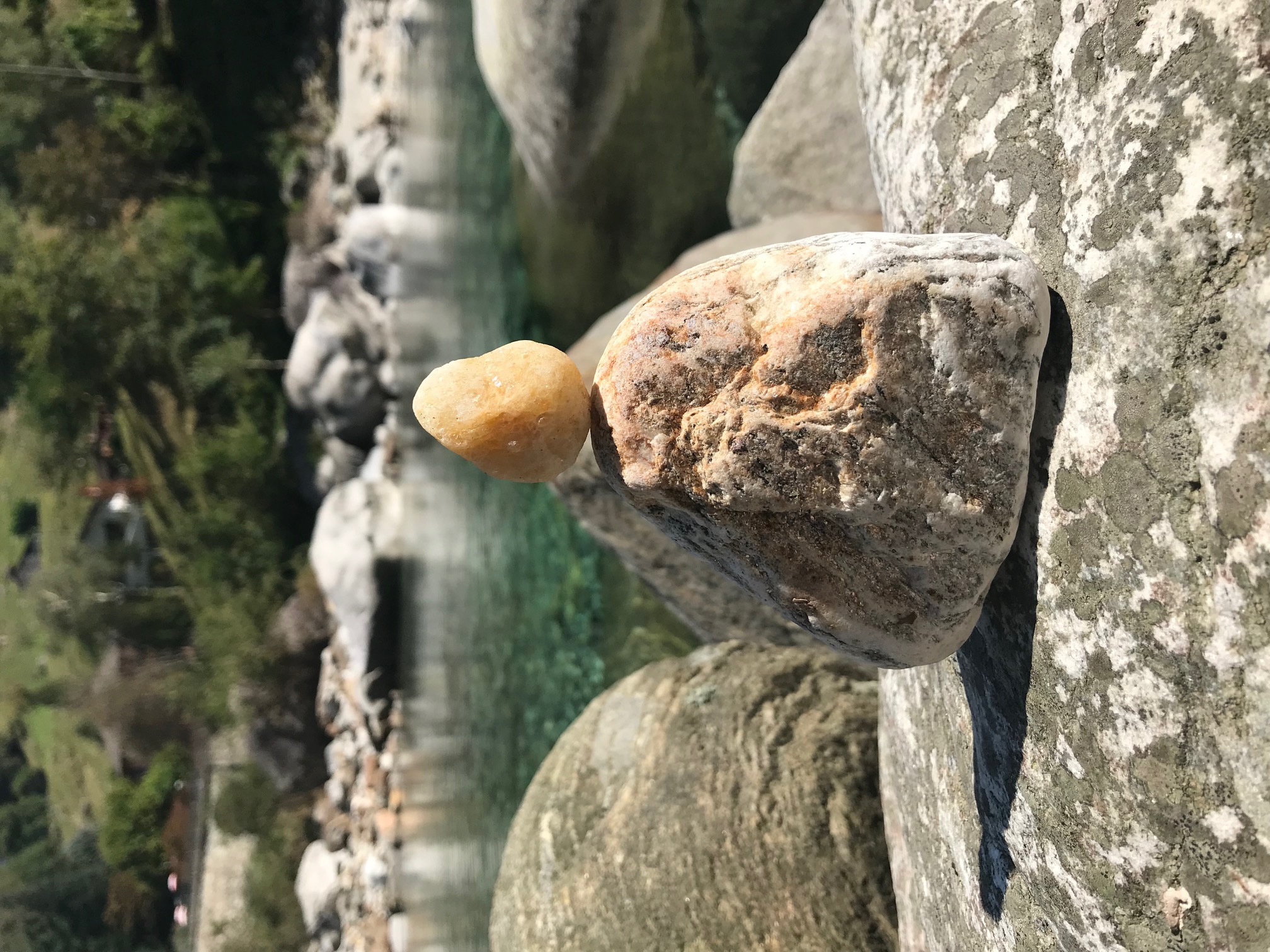 IMG 0861